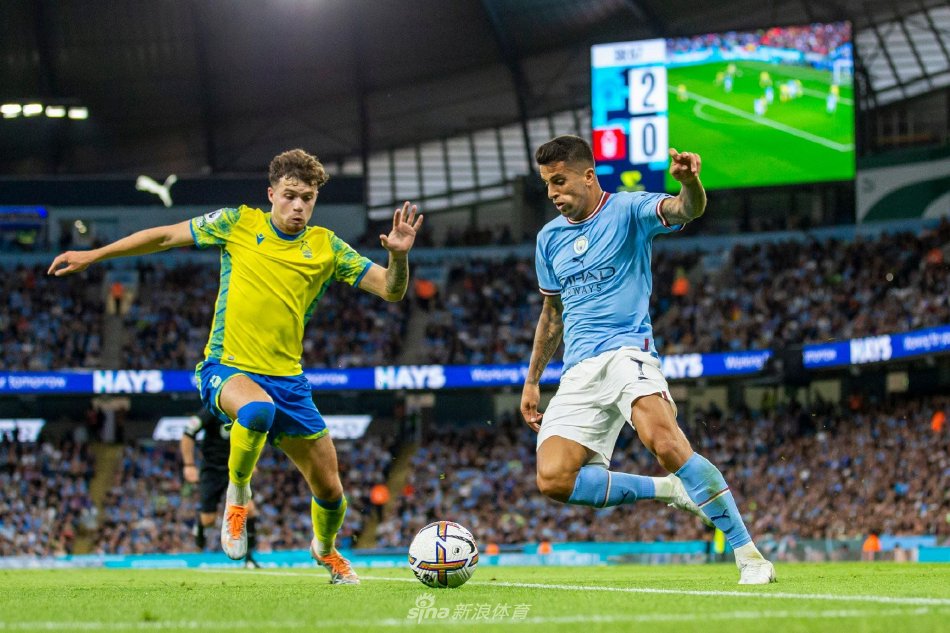 不仅代表个 不仅代表个