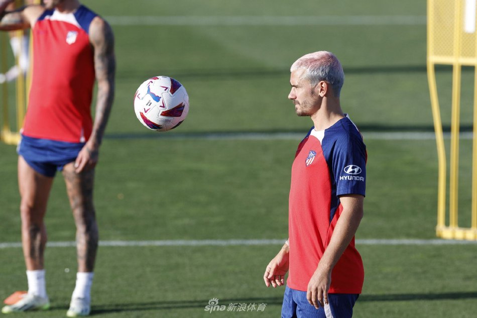 研究她们适 研究她们适